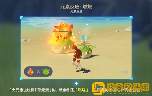 原神草元素反应有哪些