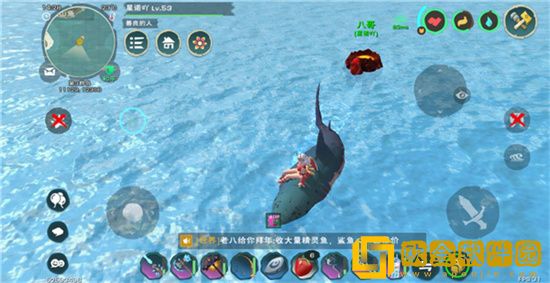 创造与魔法饲料合成表有什么