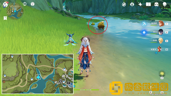 原神小蕈猪在哪