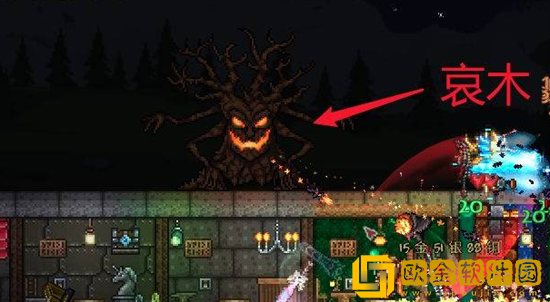 泰拉瑞亚飞天扫帚怎么获得