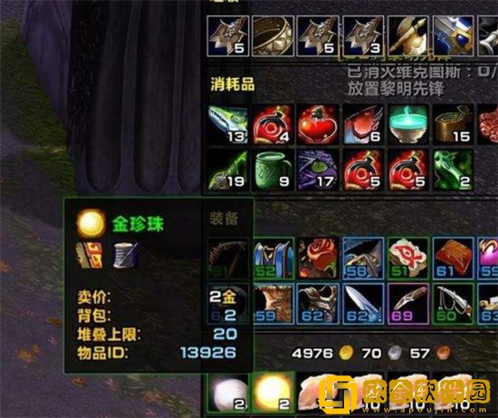 魔兽世界金色宝珠有什么用