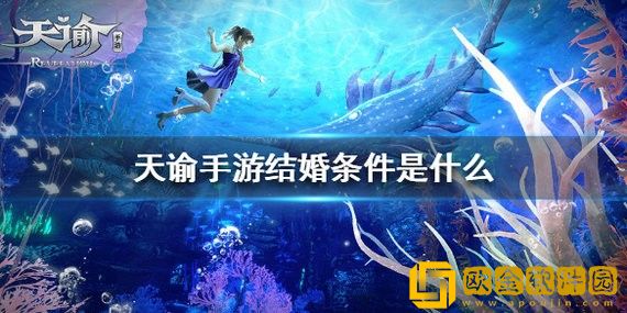 天谕手游可以结婚吗 天谕手游怎么结婚