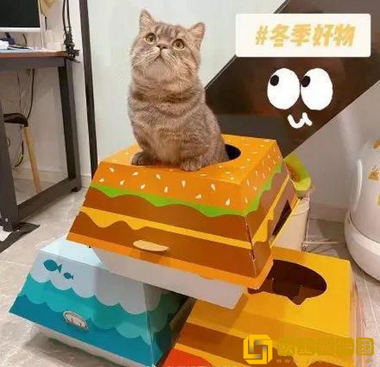 麦当劳猫窝怎么获得