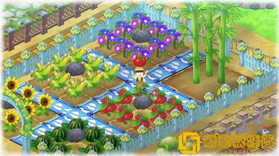 哆啦A梦牧场物语2前期种田怎么选择