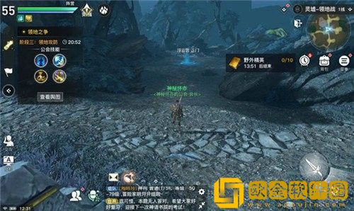 天谕手游领地战怎么玩