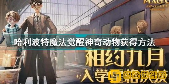 哈利波特魔法觉醒神奇动物怎么获得  哈利波特魔法觉醒神奇动物获得方法
