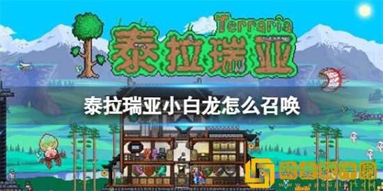 泰拉瑞亚小白龙怎么召唤 小白龙召唤方法