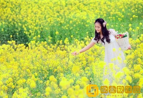 欧美最好的a级suv日产毛