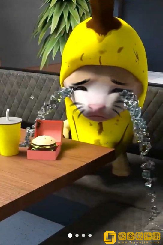 香蕉猫大作战