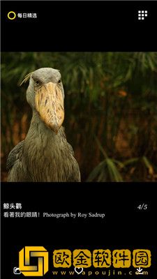 每日精选app最新版