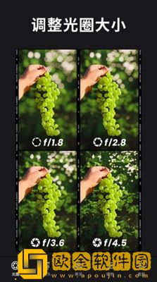 ReLens大光圈虚化单反相机