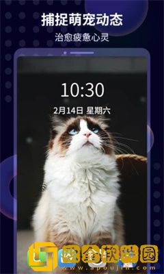 壁纸酱app手机最新版