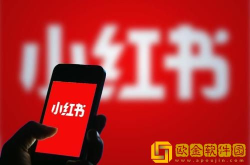 小红书怎么带图评论 小红书发送图片评论的方法