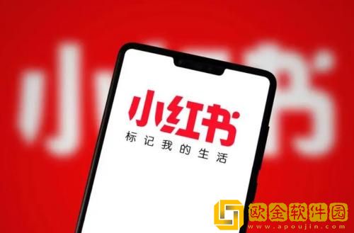 小红书怎么设置自动刷新 小红书设置自动刷新的方法