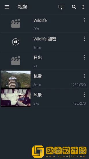 金狮播放器手机版