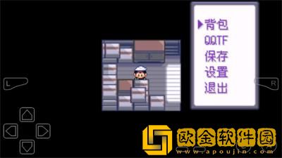 口袋妖怪永恒纪元