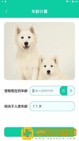人狗翻译
