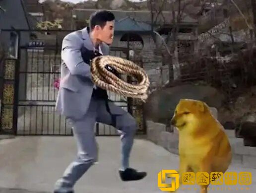 嘎子偷狗表情包