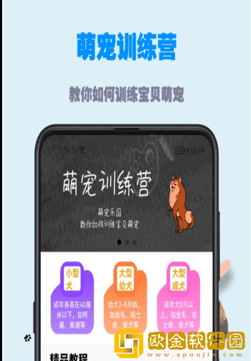 训狗教程大全