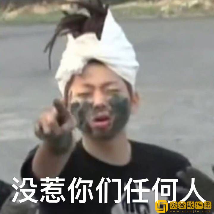 我没惹你们任何人表情包