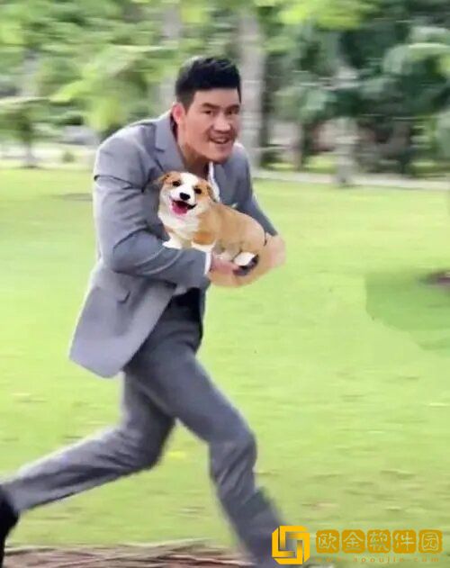 嘎子偷狗表情包