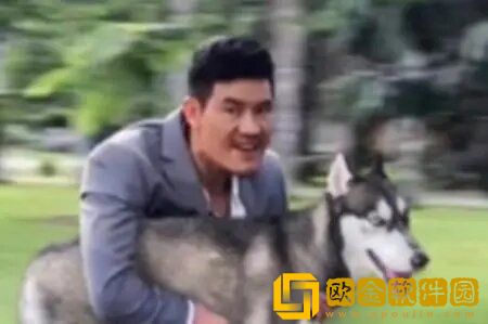 嘎子偷狗表情包