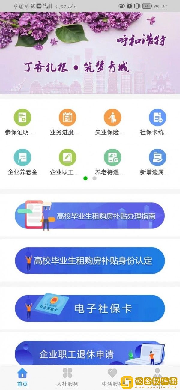 丁香扎根