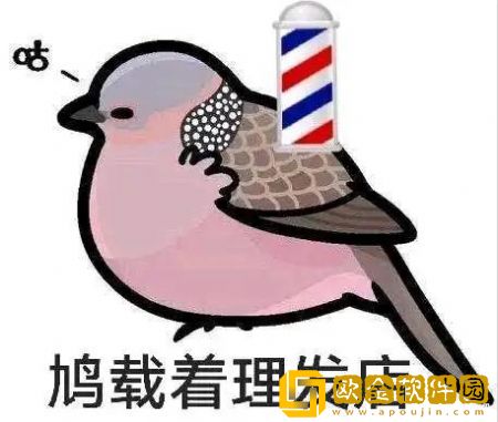 鳖载着理发店披甲龙龟表情包