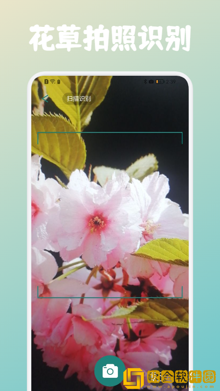 花草植物识别
