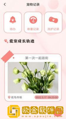 宠物日常记录
