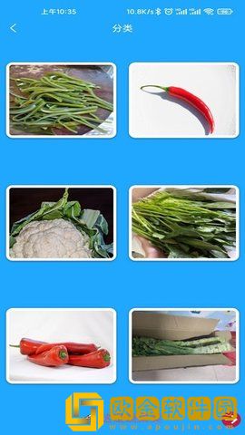 小星宝认知卡片