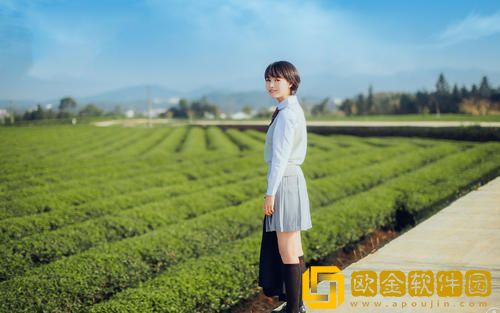 自动跳转导航入口