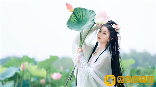 320pao强力打造免费