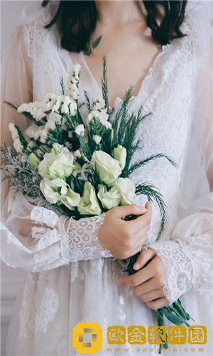 天堂伞33188网站