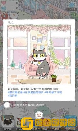 猫猫的旅行