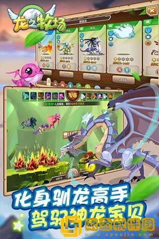 育龙高手