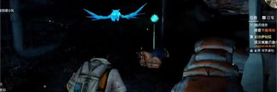 星球重启蓝**头鹰虚影宝箱位置