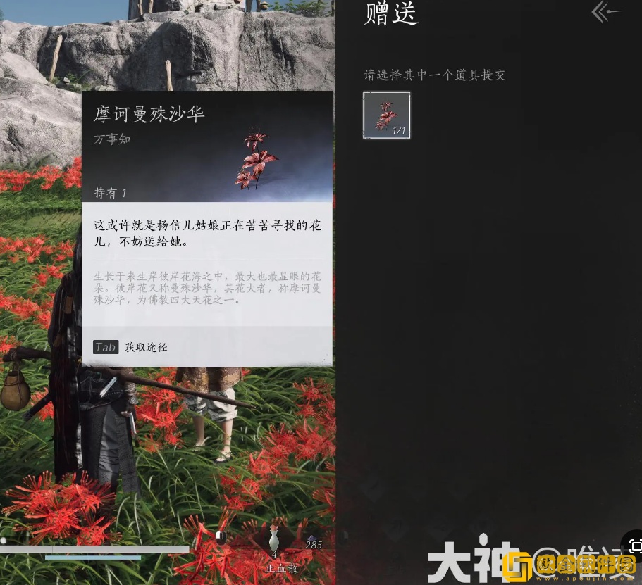 燕云十六声花中愿任务怎么做