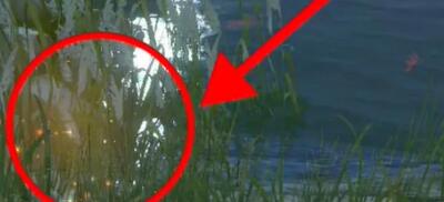 浮生忆玲珑藏宝图宝藏在哪