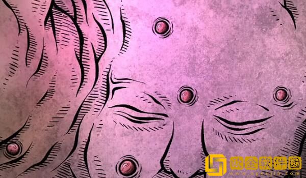 猫博物馆第一关大厅攻略