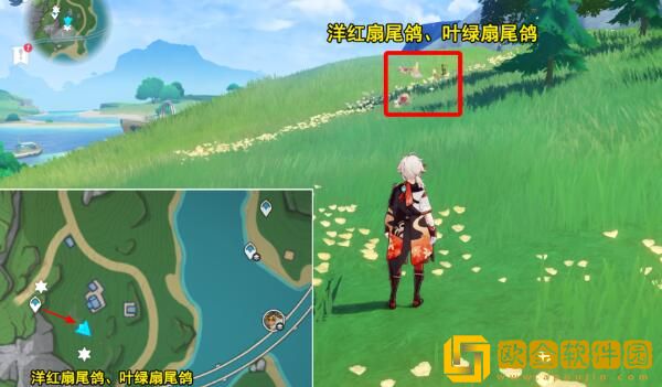 原神光影研学旖旎水界第四天怎么通关