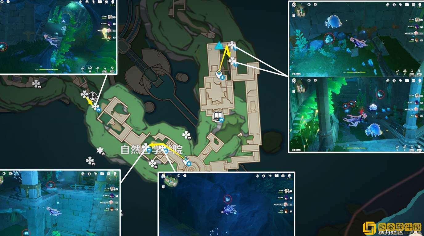 原神枫丹特产苍晶螺采集路线一览