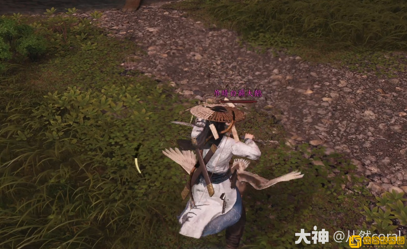 燕云十六声追光的人奇遇怎么做