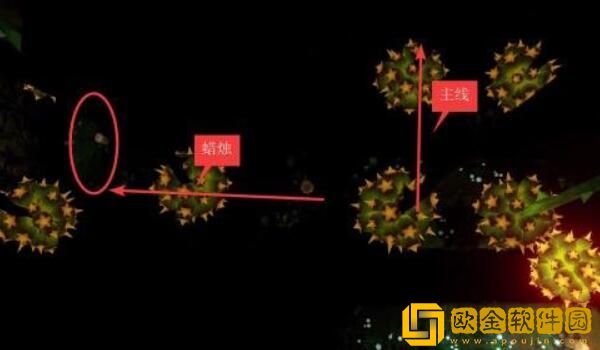 蜡烛人第四章蜡烛分布