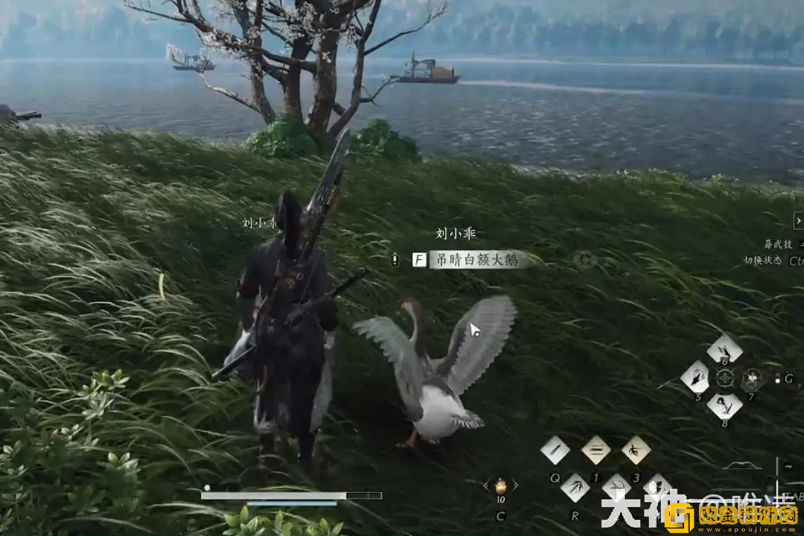 燕云十六声大鹅争锋任务怎么做