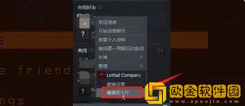 致命公司怎么联机