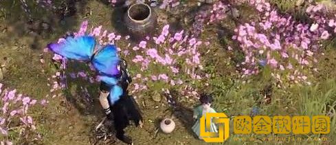 逆水寒手游蝶与尘触发隐藏结局标准一览