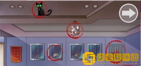 超级达人爱心宠物店过关流程 超级达人爱心宠物店过关流程