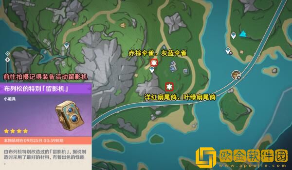 原神光影研学旖旎水界第四天怎么通关