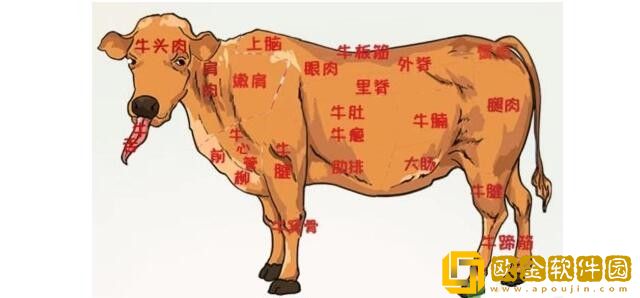 全民汉字王浑身都是宝怎么过关